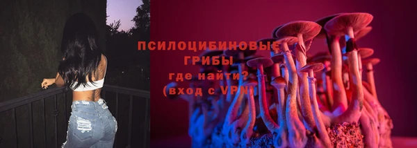трава Краснослободск
