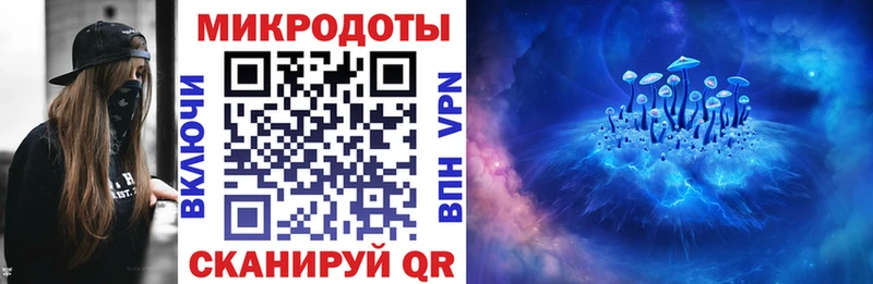 Купить где  Бабушкин  Галлюциногенные грибы Psilocybe 